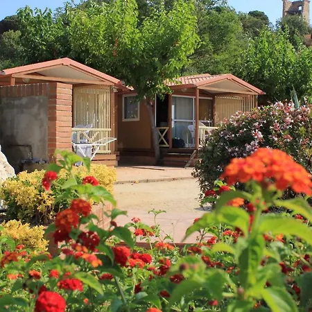 Holiday In De La Costa 3641
