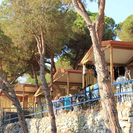 Holiday In De La Costa 3641
