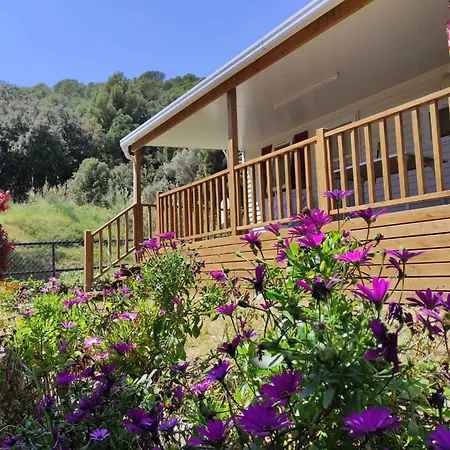 In De La Costa 3641 Holiday home
